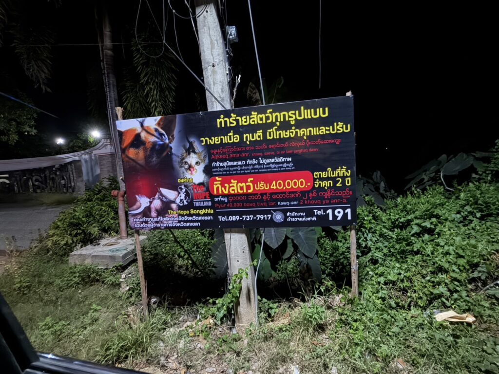 สยบปัญหาคน-สุนัข คลองแหชูมาตรการ “สุนัขชุมชน” หลังเหตุสุนัขถูกวางยาเบื่อ 5 S 31596564 0