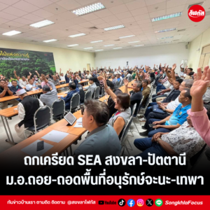 แทมเพลตข่าว 1