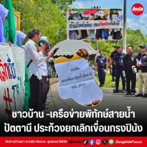 แทมเพลตข่าว 10