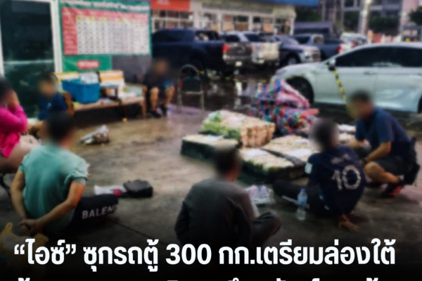 แทมเพลตข่าว 11