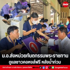 แทมเพลตข่าว 13