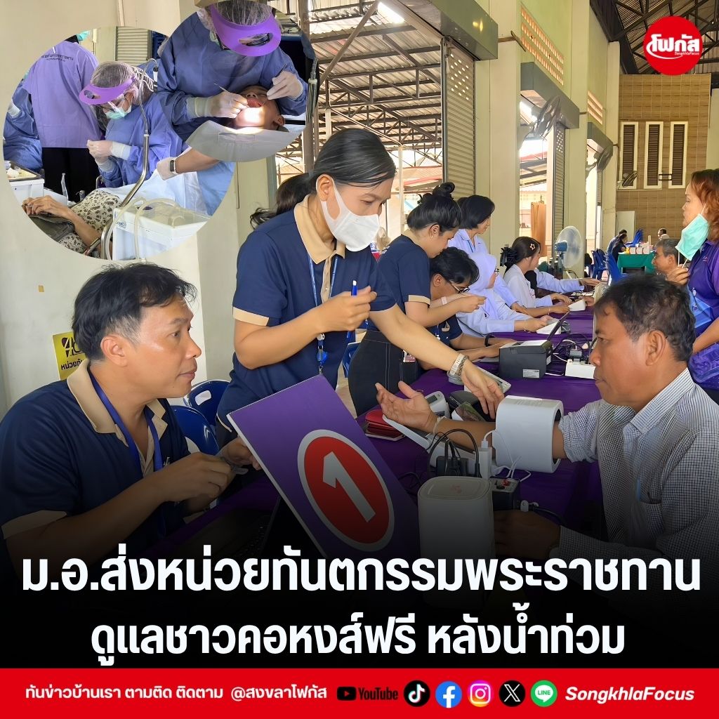 แทมเพลตข่าว 13