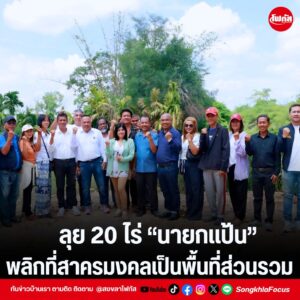 แทมเพลตข่าว 14