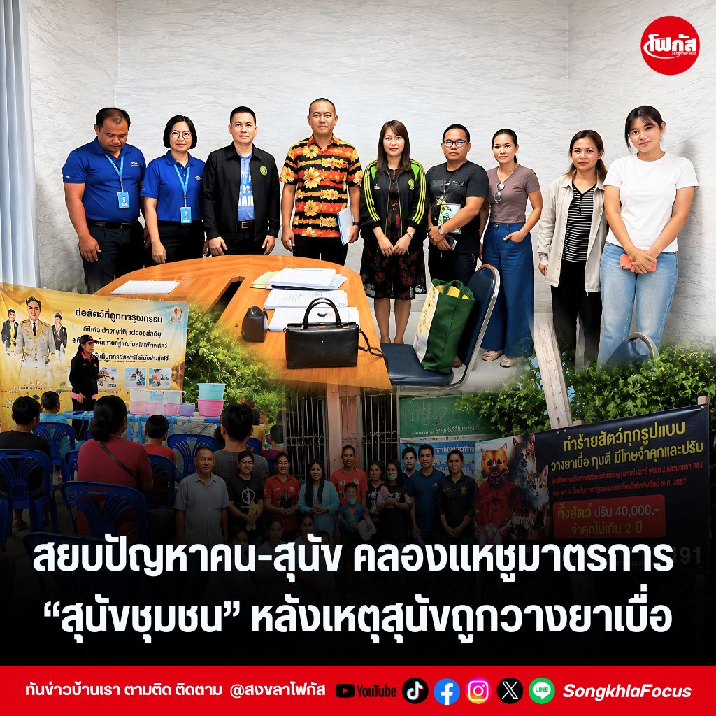 แทมเพลตข่าว 22