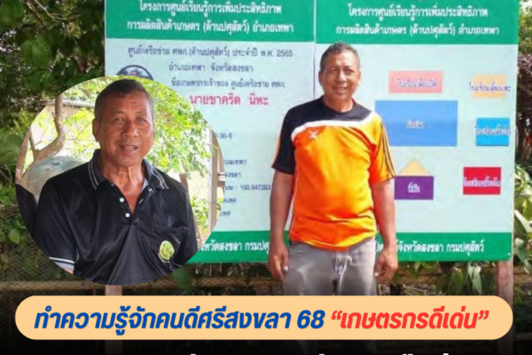 แทมเพลตข่าว 24 1