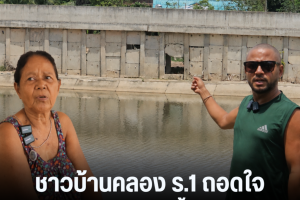 แทมเพลตข่าว 24