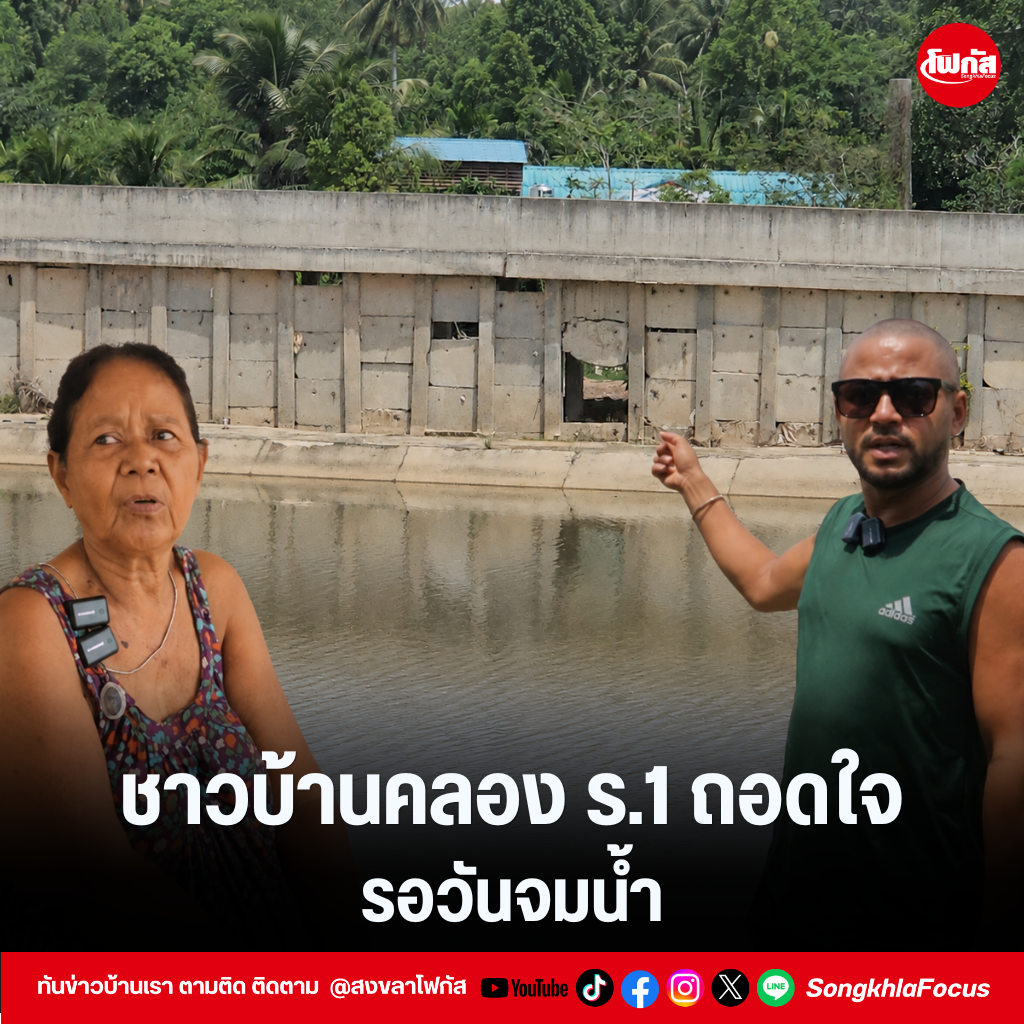 แทมเพลตข่าว 24