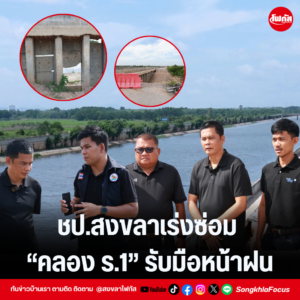 แทมเพลตข่าว 33