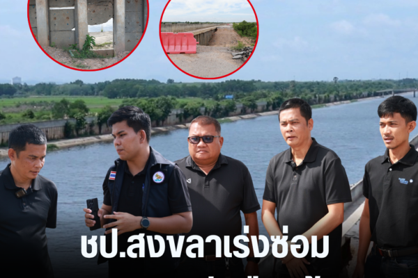 แทมเพลตข่าว 33