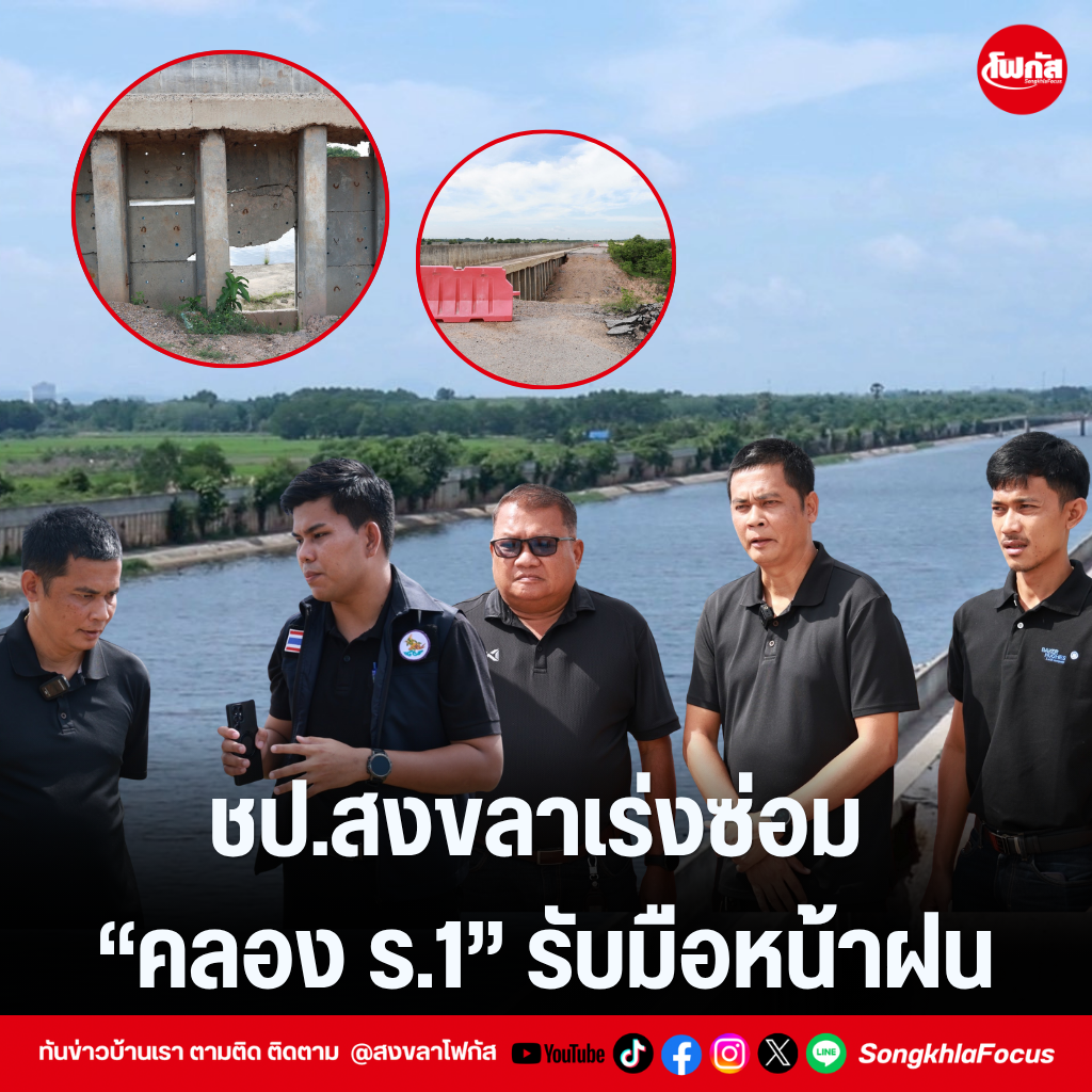 แทมเพลตข่าว 33