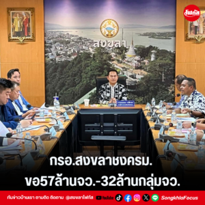 แทมเพลตข่าว 4