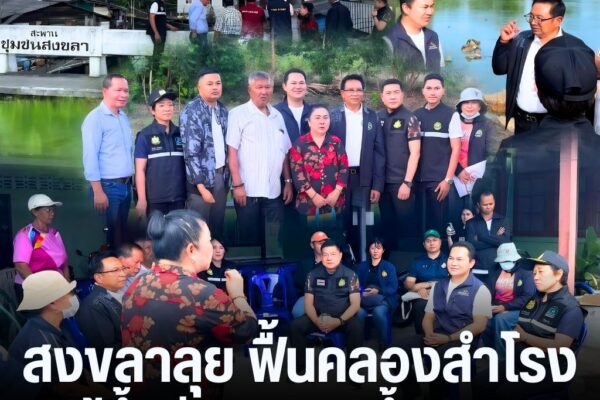แทมเพลตข่าว 40