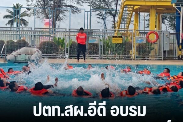 แทมเพลตข่าว 42