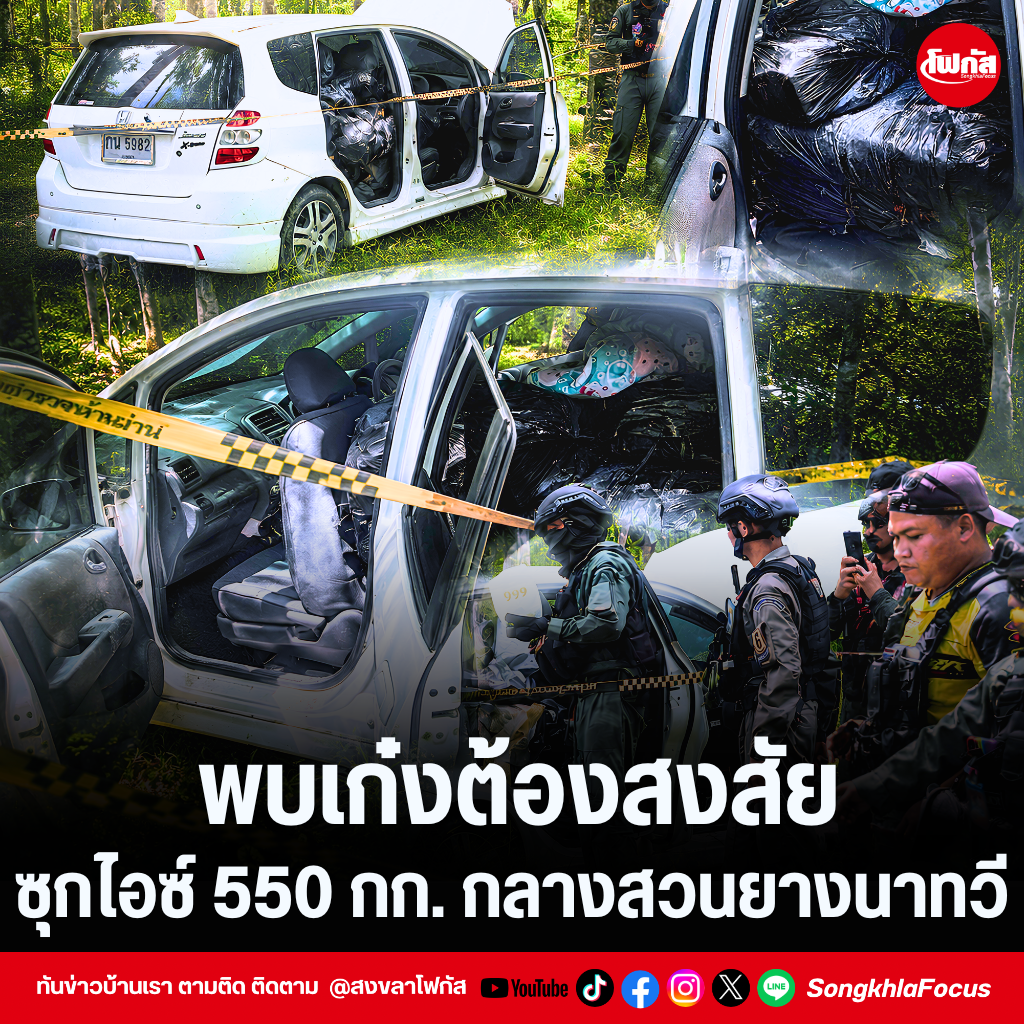 แทมเพลตข่าว 8 1