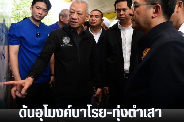 แทมเพลตข่าว 11