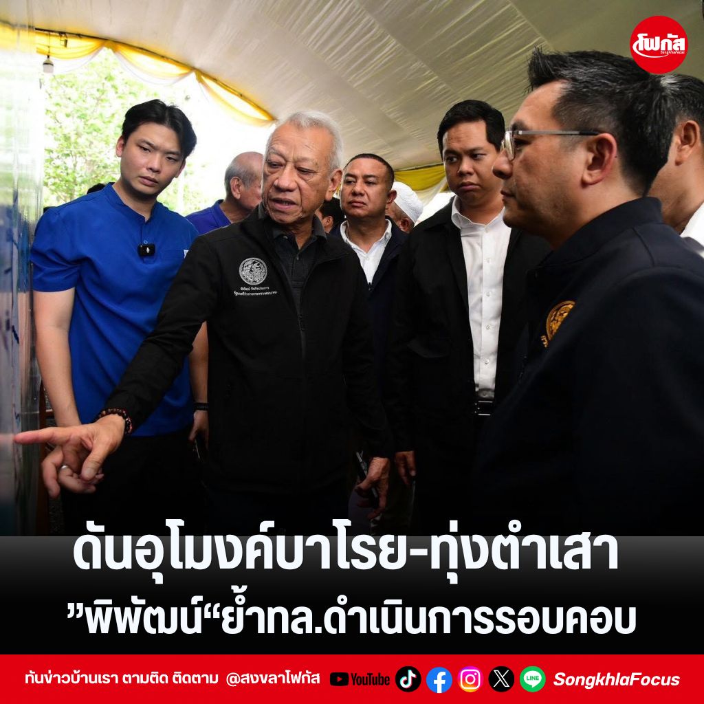 แทมเพลตข่าว 11