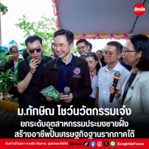 แทมเพลตข่าว 12