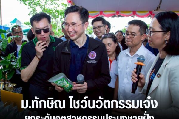 แทมเพลตข่าว 12