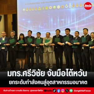 แทมเพลตข่าว 13