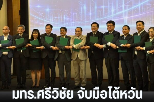 แทมเพลตข่าว 13