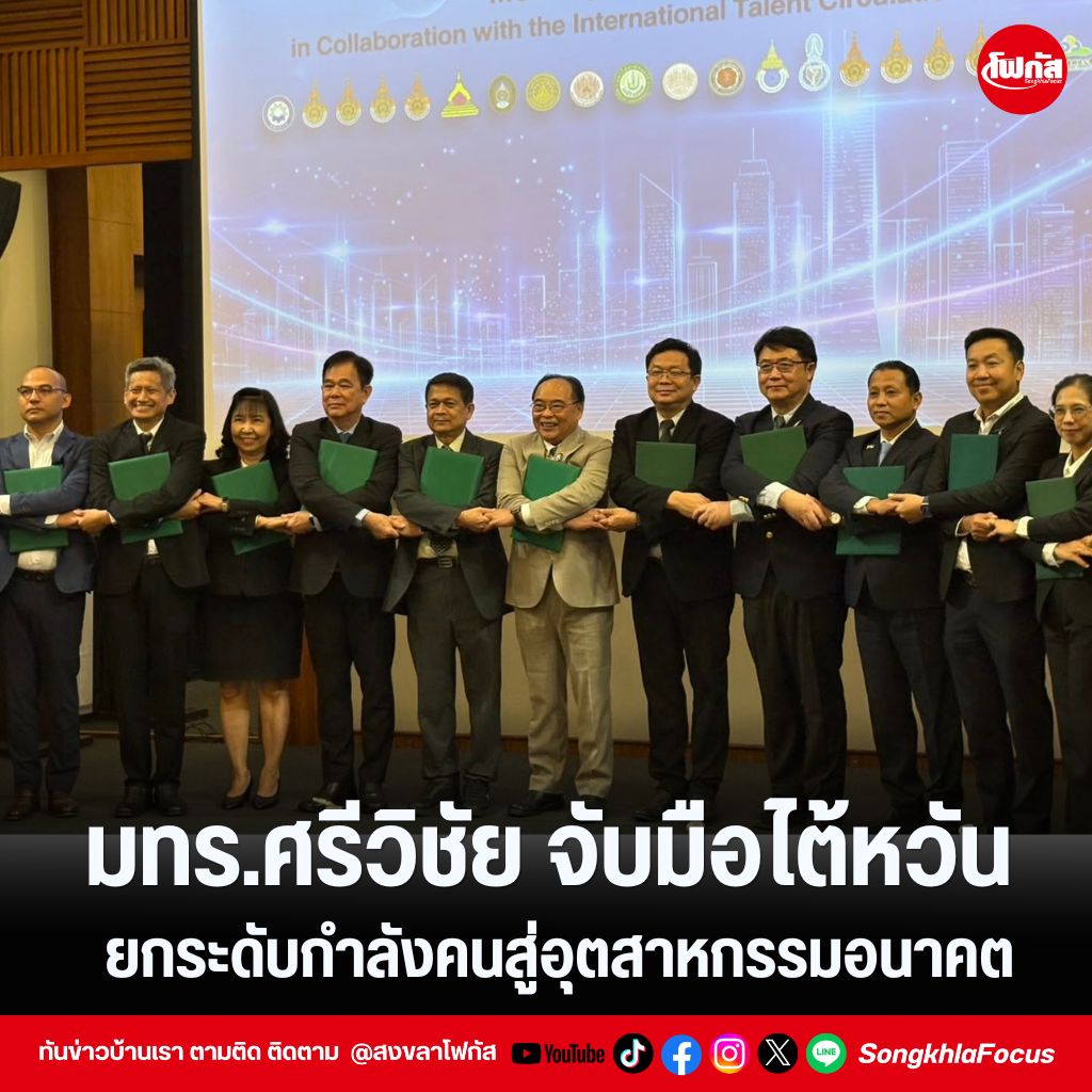 แทมเพลตข่าว 13