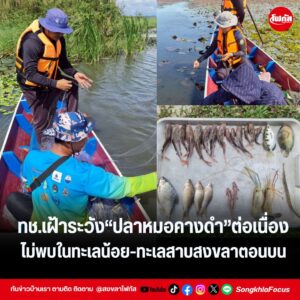 แทมเพลตข่าว 19
