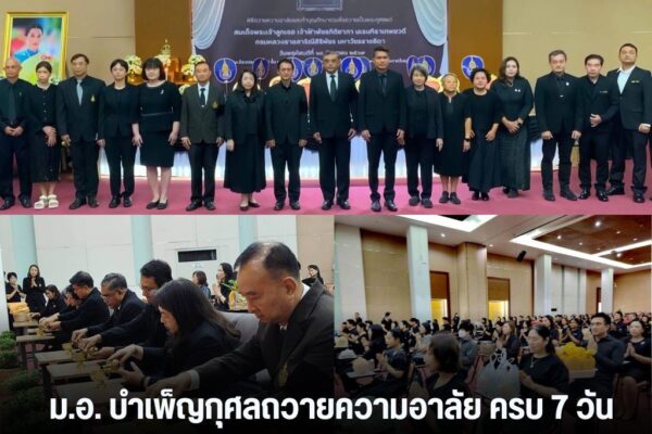 แทมเพลตข่าว 24