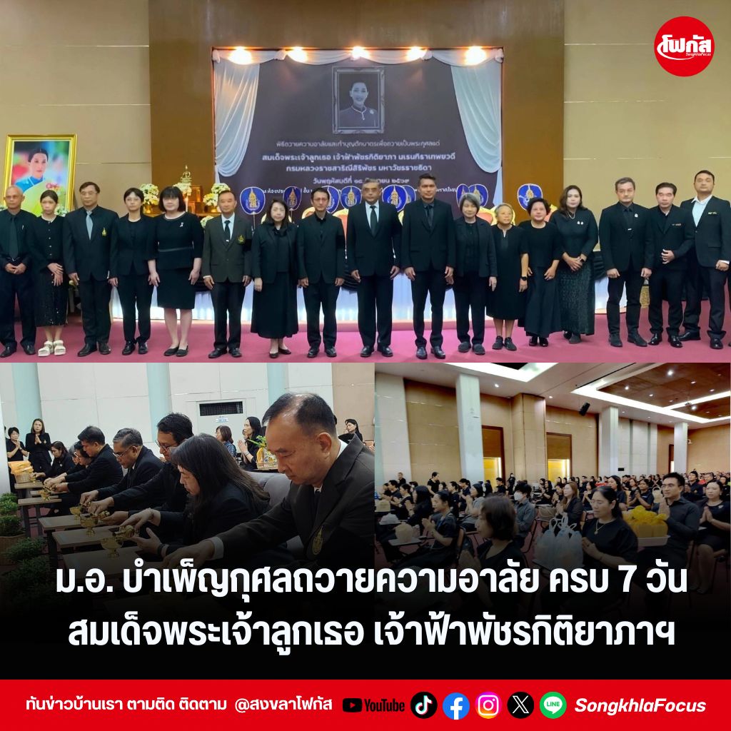 แทมเพลตข่าว 24