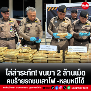 แทมเพลตข่าว 31