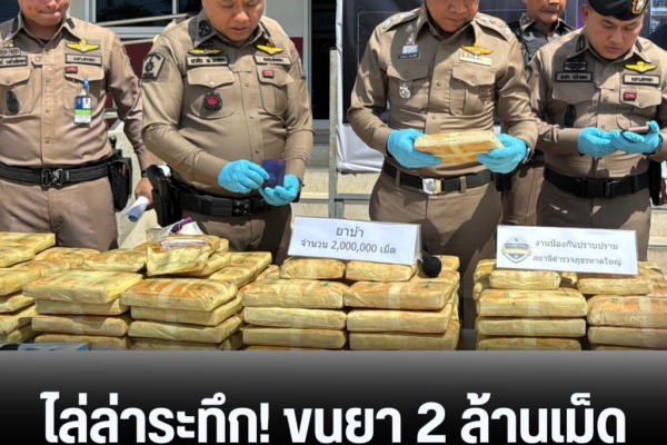 แทมเพลตข่าว 31