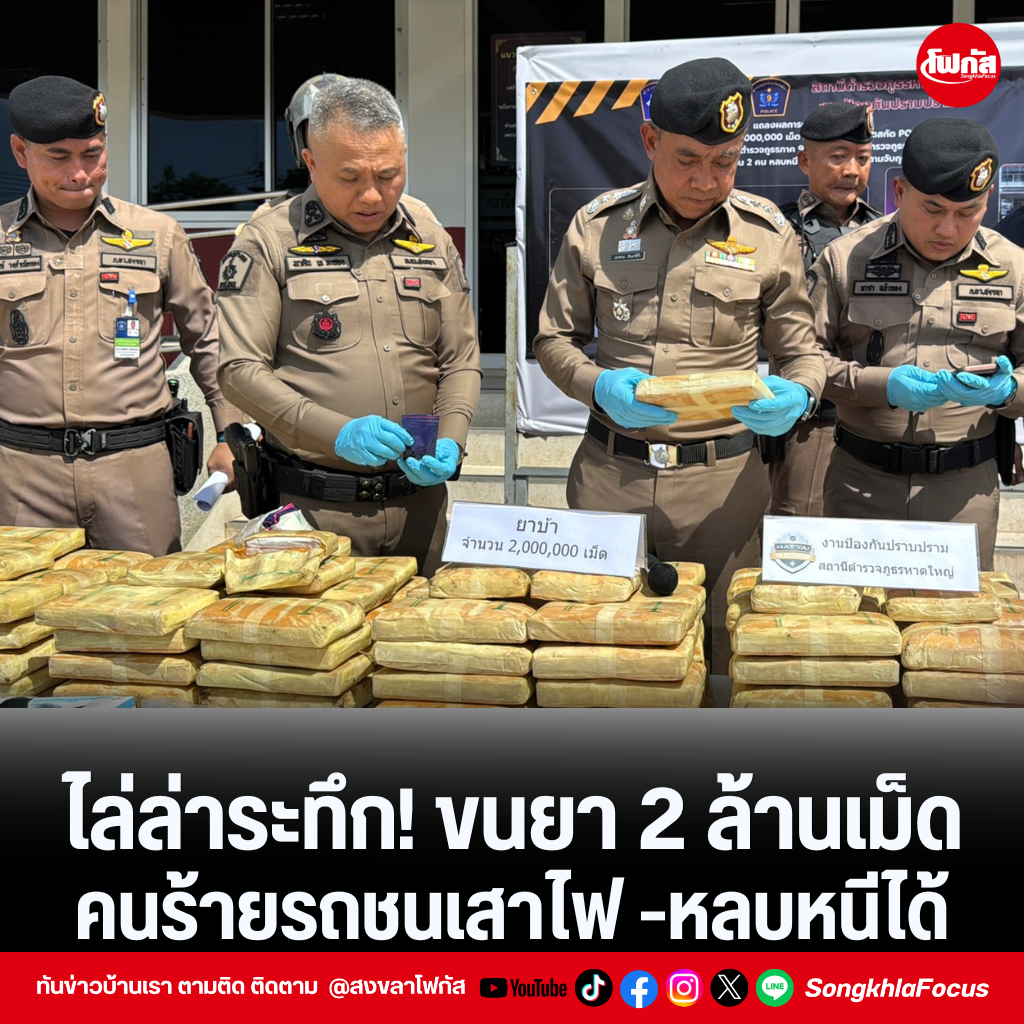 แทมเพลตข่าว 31