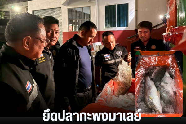 แทมเพลตข่าว 32