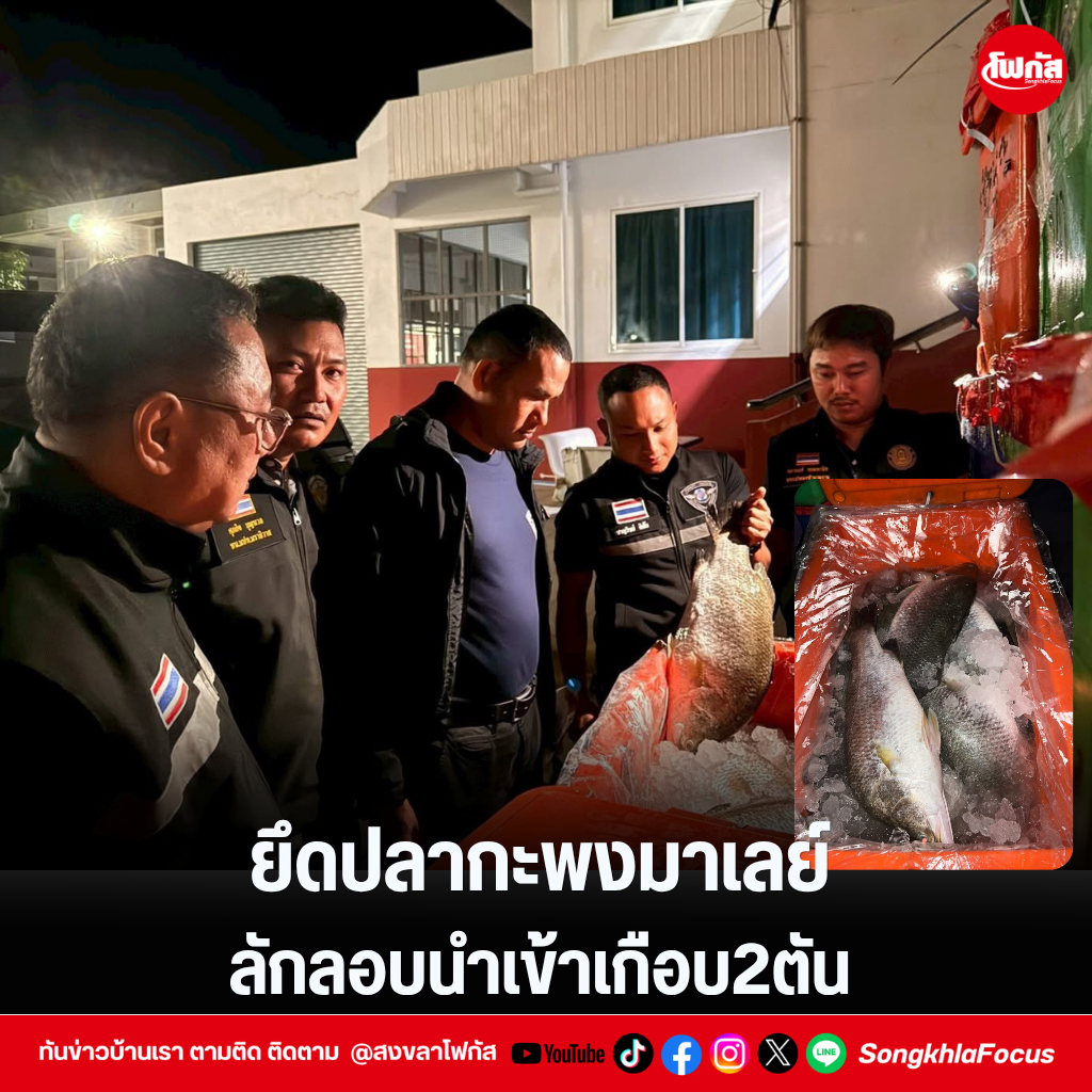 แทมเพลตข่าว 32