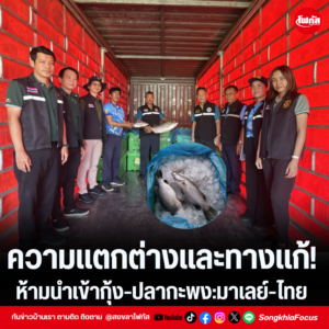 แทมเพลตข่าว 33