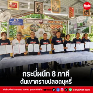 แทมเพลตข่าว 37