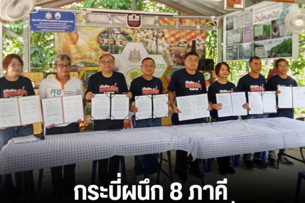 แทมเพลตข่าว 37
