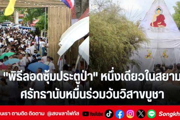 แทมเพลตข่าว