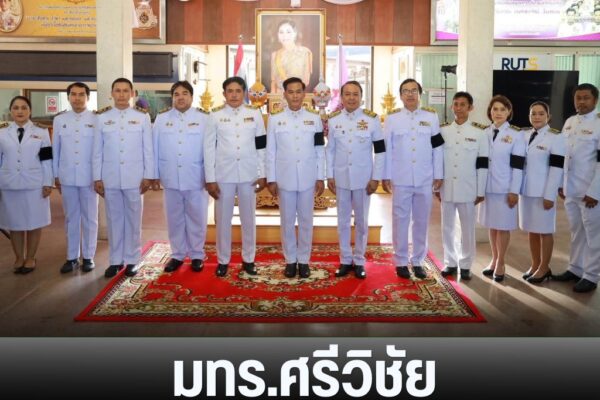 แทมเพลตข่าว 8