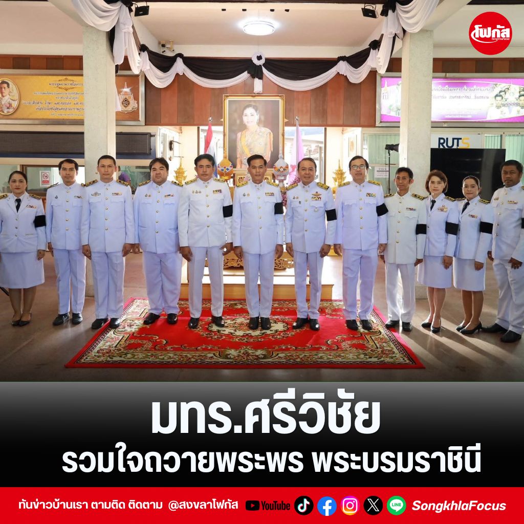 แทมเพลตข่าว 8