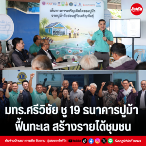 แทมเพลตข่าว 3