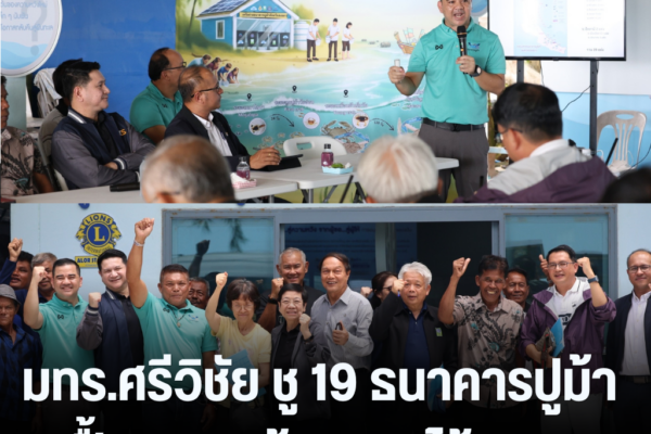 แทมเพลตข่าว 3