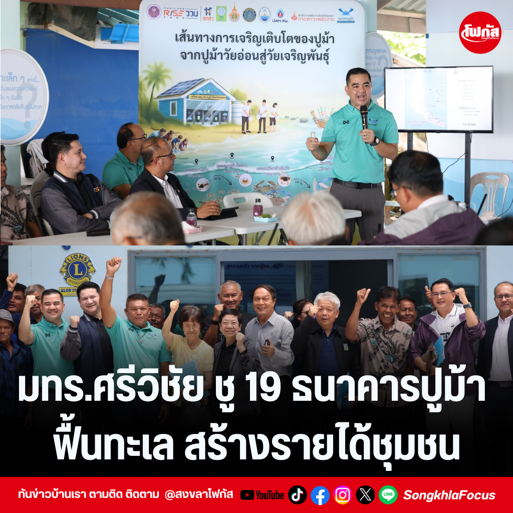 แทมเพลตข่าว 3