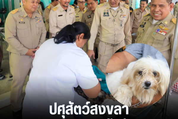 แทมเพลตข่าว 69