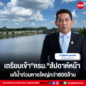 แทมเพลตข่าว 73