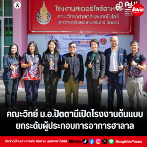 แทมเพลตข่าว 78