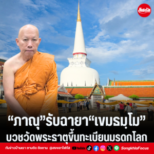 แทมเพลตข่าว 82