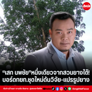 แทมเพลตข่าว 2026 08 15T130438.631
