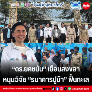 แทมเพลตข่าว 6
