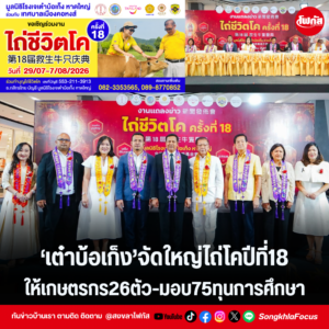 แทมเพลตข่าว 85