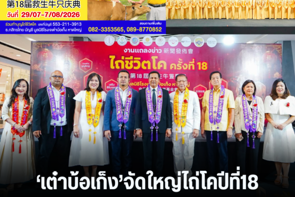 แทมเพลตข่าว 85